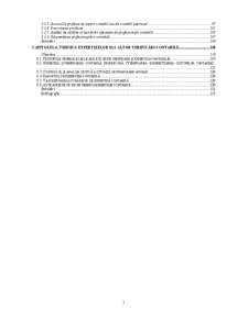 Bazele Auditului Financiar - Pagina 3
