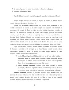 Analiza Financiar - Patrimonială a Societății Comerciale - Pagina 3