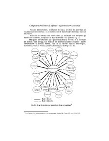 Analiza Economico - Financiara - Pagina 6