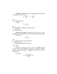 Analiza Economico - Financiara - Pagina 13