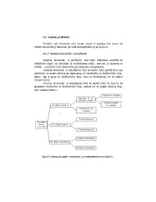 Analiza Economico - Financiara - Pagina 135
