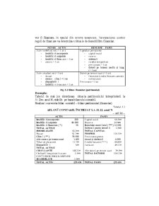 Analiza Economico - Financiara - Pagina 176