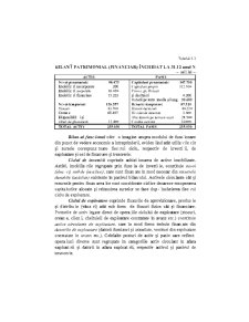 Analiza Economico - Financiara - Pagina 178