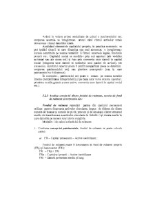 Analiza Economico - Financiara - Pagina 181