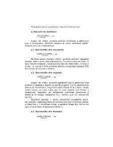Analiza Economico - Financiara - Pagina 186