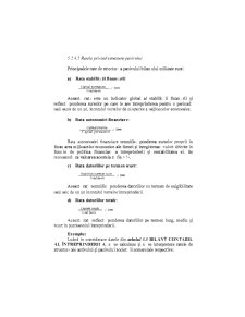 Analiza Economico - Financiara - Pagina 188