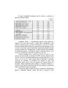 Analiza Economico - Financiara - Pagina 190