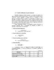 Analiza Economico - Financiara - Pagina 196