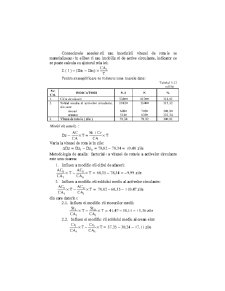 Analiza Economico - Financiara - Pagina 199