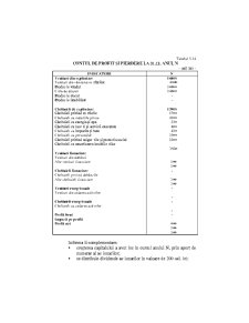 Analiza Economico - Financiara - Pagina 206