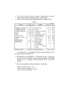 Analiza Economico - Financiara - Pagina 210