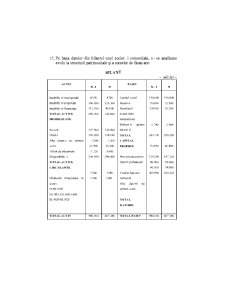 Analiza Economico - Financiara - Pagina 211