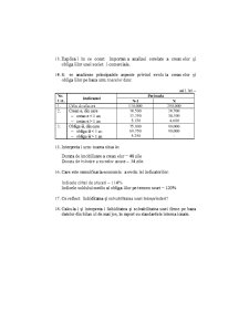 Analiza Economico - Financiara - Pagina 212