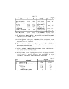 Analiza Economico - Financiara - Pagina 213