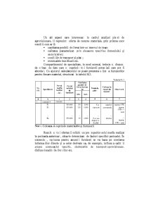 Analiza Economico - Financiara - Pagina 250
