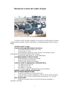 Sisteme de creștere ale vacilor de lapte - Pagina 1