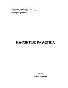 Raport de practică - Hotel Izvoraș - Pagina 1
