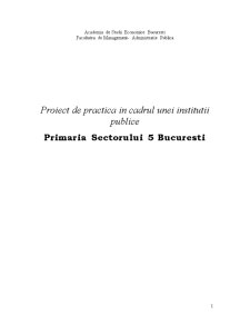 Proiect de practică în cadrul unei instituții publice - Primăria Sectorului 5 București - Pagina 1