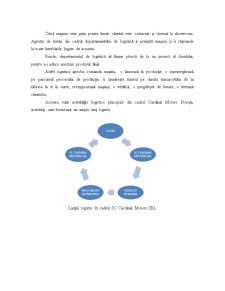 Analiza Sistemului Logistic la SC Cardinal Motors SRL - Pagina 4