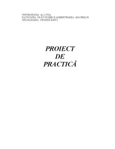 Proiect practică - finanțe bănci - Pagina 1