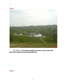 Ecologizarea Parcului Tineretului - Pagina 4