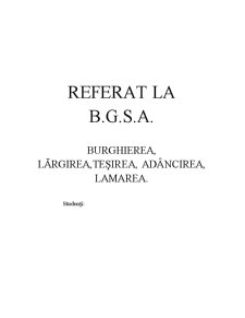 Burghierea, Largirea, Tesirea, Adancirea, Lamarea - Pagina 1
