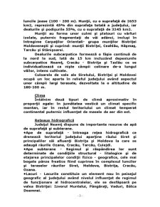 Amenajarea Teritoriului Municipiului Piatra Neamț - Pagina 4