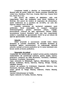Amenajarea Teritoriului Municipiului Piatra Neamț - Pagina 5