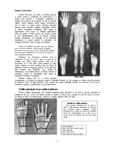Reflexologia mâinii - Pagina 4