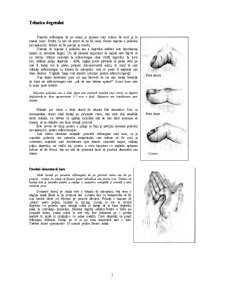Reflexologia mâinii - Pagina 5