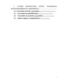 Proiectarea Intergospodareasca - Pagina 1