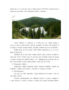 Munții Lotrului - potențial ecologic - Pagina 5