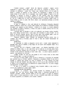 Obiceiuri și Tradiții Românești - Pagina 2