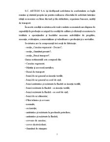 Modalități de îmbunătățire a activității de marketing la nivelul firmei la SC Artego SA Tg-Jiu - Pagina 4