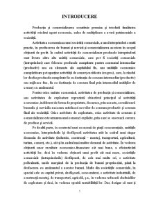 Analiză de producție și comercializare la SC Artego SA pe analiza financiară - Pagina 1
