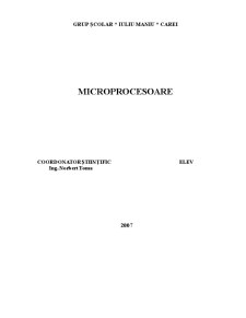 Microprocesor - Pagina 1