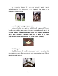 Igiena laptelui - Pagina 4