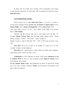 Managementul destinației - Bora Bora - Pagina 5