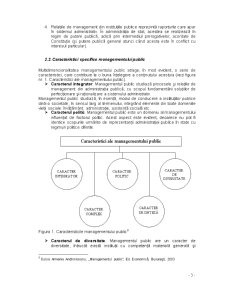Managementul Sectorului Public - Pagina 3