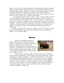 Animale pe cale de dispariție - Pagina 2