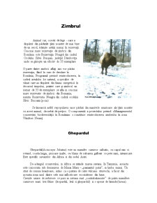 Animale pe cale de dispariție - Pagina 3