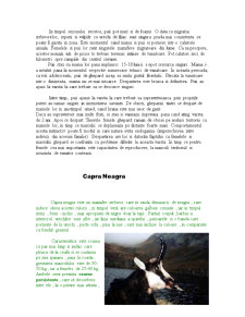 Animale pe cale de dispariție - Pagina 5