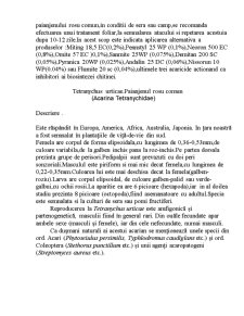 Tetranychus Urticae - Pagina 2
