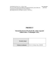 Sistemul funcțional al producției din cadrul companiei Embarcadero Technologies SRL - Pagina 1