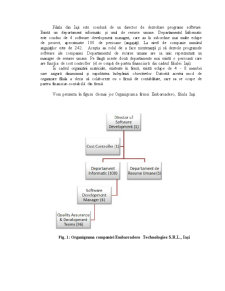 Sistemul funcțional al producției din cadrul companiei Embarcadero Technologies SRL - Pagina 3