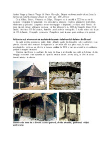 Patrimoniul turistic aparținând zonei rurale - Lotru Latorita Căpățânii - Pagina 4