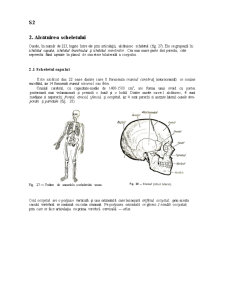 Sistemul Osos - Pagina 3