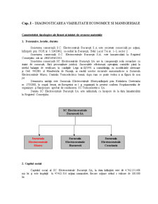Licență - SC Electrocentrale București SA sucursala eletrocentrale Mureș - CTE Iernut - Pagina 4