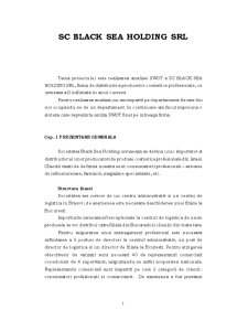 Analiză SWOT - Black Sea Holding - Pagina 1