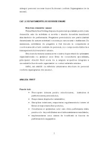 Analiză SWOT - Black Sea Holding - Pagina 2